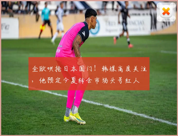 全欧哄抢日本国门！韩媒高度关注，他预定今夏转会市场头号红人